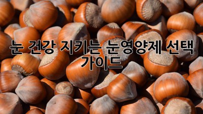 눈 건강 지키는 눈영양제 선택 가이드