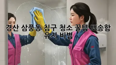 경산 삼풍동 침구 청소 꿀팁🍯: 뽀송함 유지 비법!